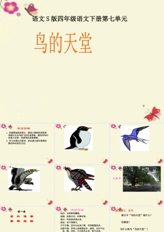 四年级语文下册 第7单元 25《鸟的天堂》课件3 语文S版-语文S版小学四年级下册语文课件