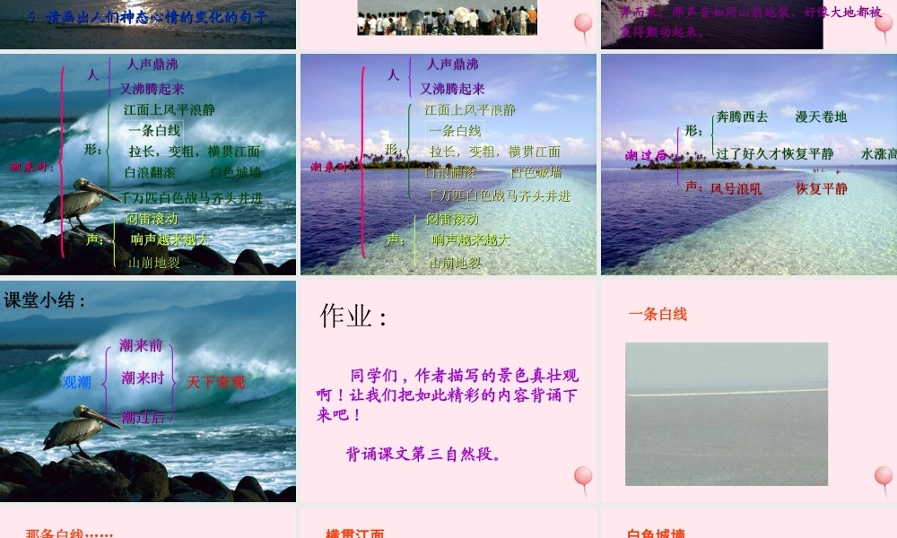 四年级语文上册 第五单元 21《观潮》同步优质课件 冀教版-冀教版小学四年级上册语文课件