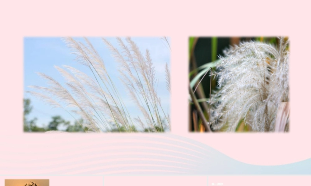 四年级语文下册 第六单元 20《芦花鞋》教学课件 新人教版-新人教版小学四年级下册语文课件