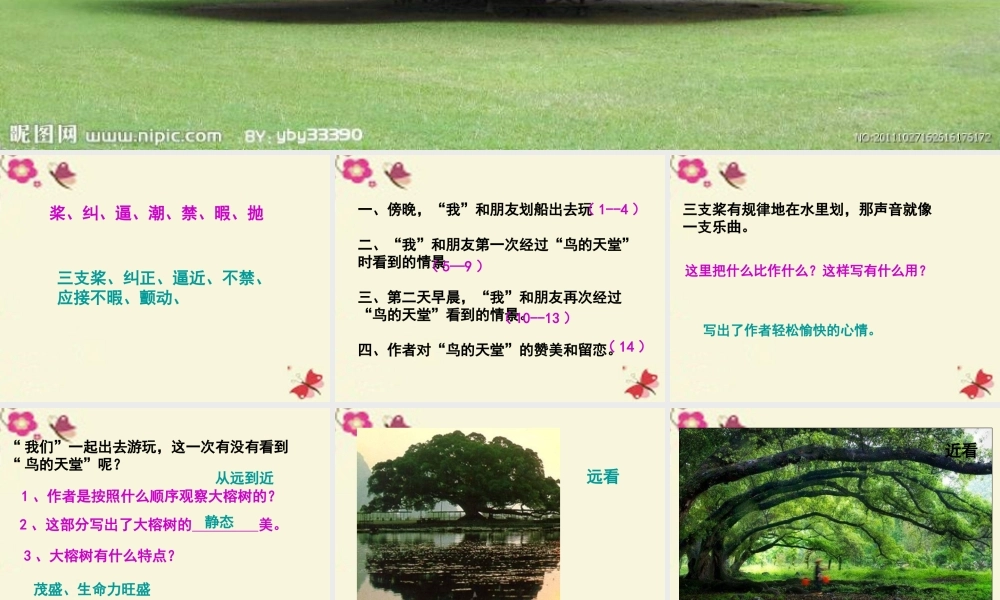 四年级语文下册 第7单元 25《鸟的天堂》课件4 语文S版-语文S版小学四年级下册语文课件