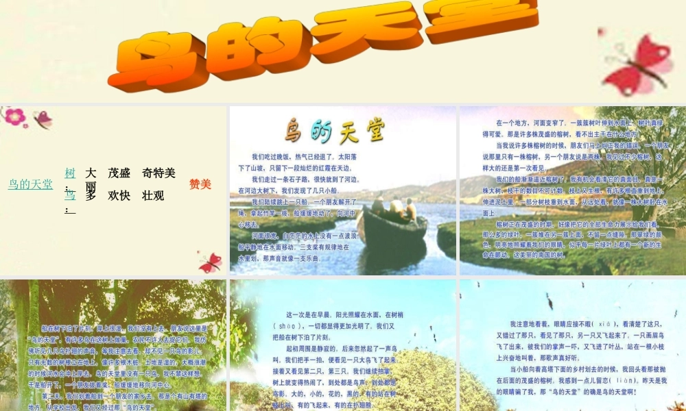 四年级语文下册 第7单元 25《鸟的天堂》课件5 语文S版-语文S版小学四年级下册语文课件