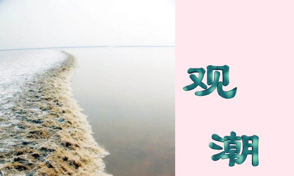 四年级语文上册 第五单元 21《观潮》优质同步课件 冀教版-冀教版小学四年级上册语文课件