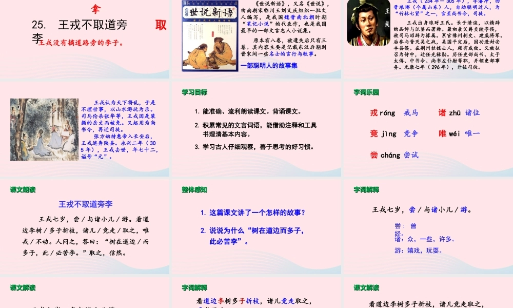 文上册 第八单元 25 王戎不取道旁李课件
