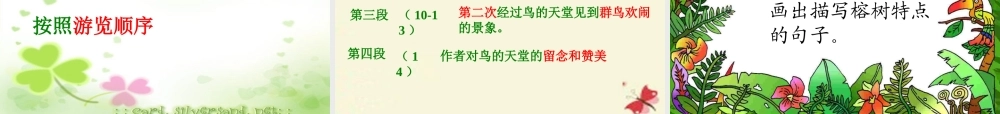 四年级语文下册 第7单元 25《鸟的天堂》课件6 语文S版-语文S版小学四年级下册语文课件