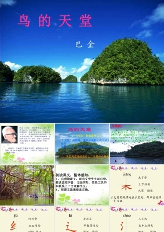 四年级语文下册 第7单元 25《鸟的天堂》课件6 语文S版-语文S版小学四年级下册语文课件