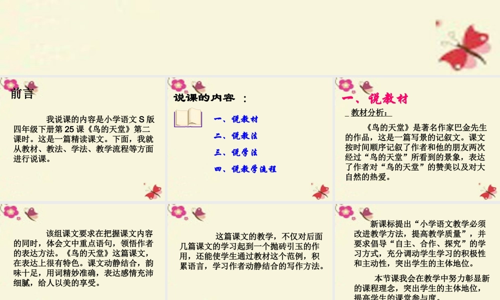 四年级语文下册 第7单元 25《鸟的天堂》课件7 语文S版-语文S版小学四年级下册语文课件