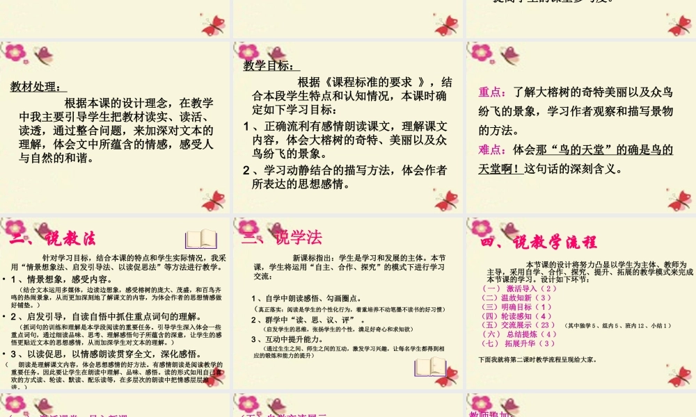 四年级语文下册 第7单元 25《鸟的天堂》课件7 语文S版-语文S版小学四年级下册语文课件