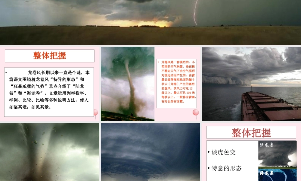 四年级语文上册 第五单元 22《龙卷风》精品课件 冀教版-冀教版小学四年级上册语文课件