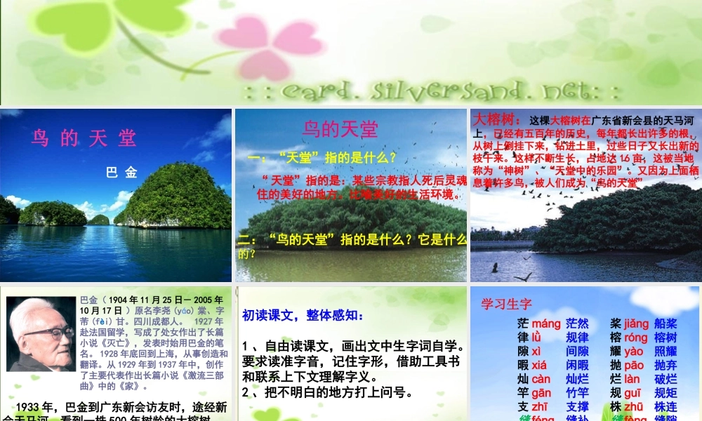 四年级语文下册 第7单元 25《鸟的天堂》课件8 语文S版-语文S版小学四年级下册语文课件