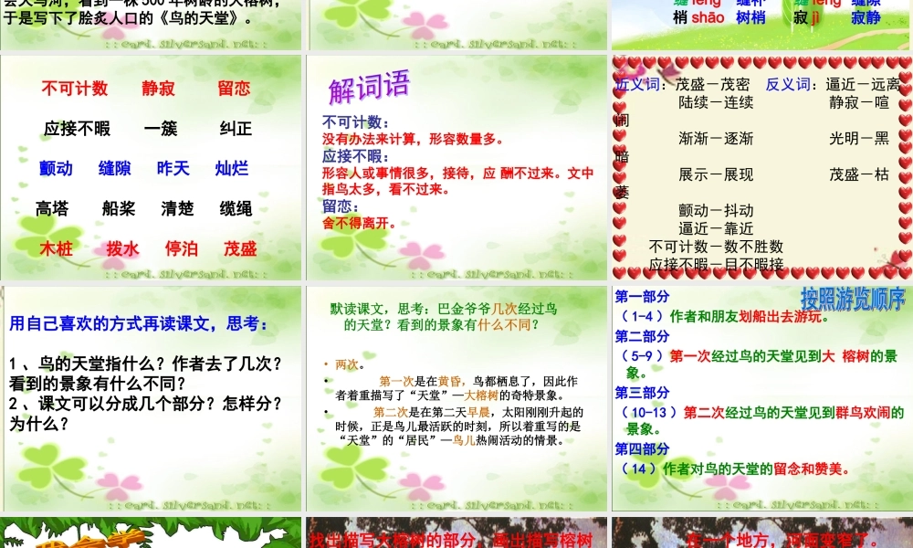 四年级语文下册 第7单元 25《鸟的天堂》课件8 语文S版-语文S版小学四年级下册语文课件