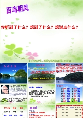 四年级语文下册 第7单元 25《鸟的天堂》课件8 语文S版-语文S版小学四年级下册语文课件