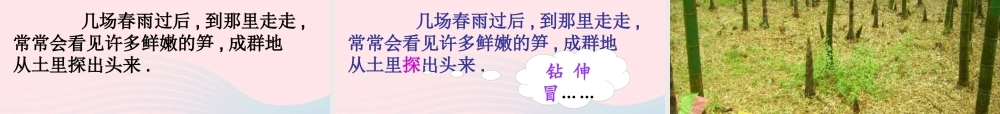 四年级语文下册 第六单元 20《乡下人家》课堂教学课件1 新人教版-新人教版小学四年级下册语文课件