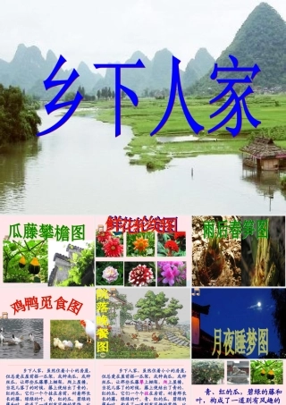 四年级语文下册 第六单元 20《乡下人家》课堂教学课件1 新人教版-新人教版小学四年级下册语文课件