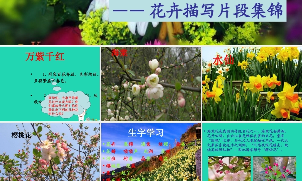 四年级语文上册《万紫千红》课件  教科版-教科版小学四年级上册语文课件