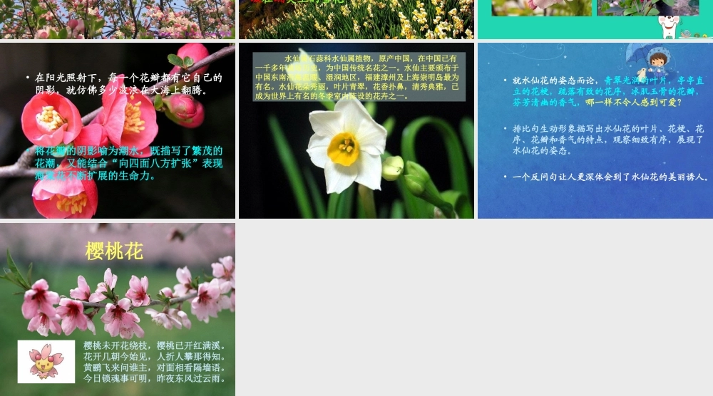 四年级语文上册《万紫千红》课件  教科版-教科版小学四年级上册语文课件