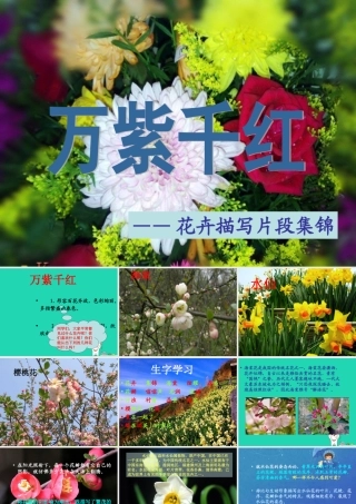 四年级语文上册《万紫千红》课件  教科版-教科版小学四年级上册语文课件