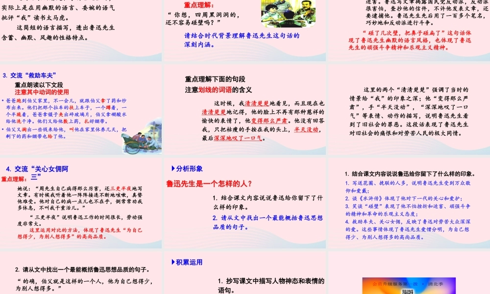 文上册 第八单元 26我的伯父鲁迅先生课件