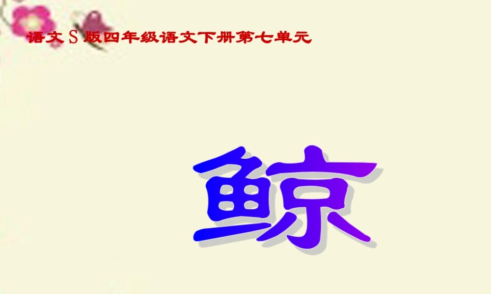 四年级语文下册 第7单元 26《鲸》课件1 语文S版-语文S版小学四年级下册语文课件