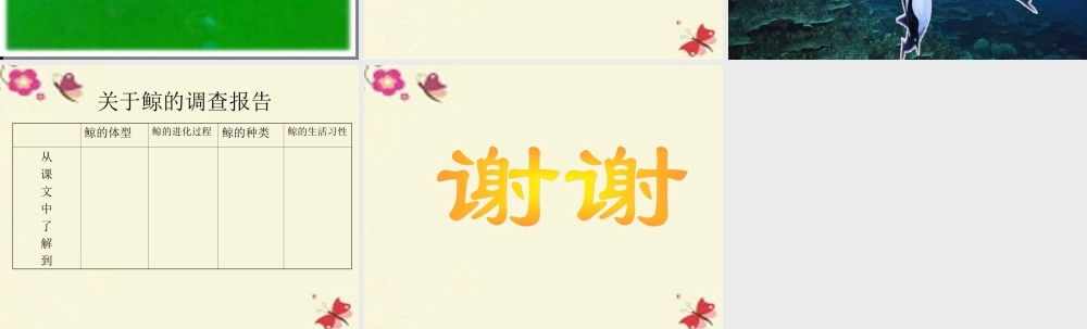 四年级语文下册 第7单元 26《鲸》课件1 语文S版-语文S版小学四年级下册语文课件