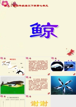 四年级语文下册 第7单元 26《鲸》课件1 语文S版-语文S版小学四年级下册语文课件
