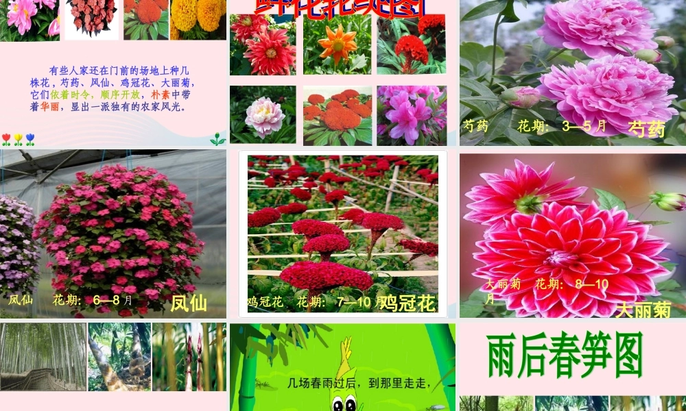 四年级语文下册 第六单元 20《乡下人家》课堂教学课件2 新人教版-新人教版小学四年级下册语文课件