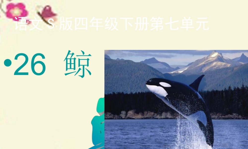 四年级语文下册 第7单元 26《鲸》课件2 语文S版-语文S版小学四年级下册语文课件
