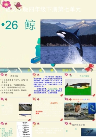 四年级语文下册 第7单元 26《鲸》课件2 语文S版-语文S版小学四年级下册语文课件