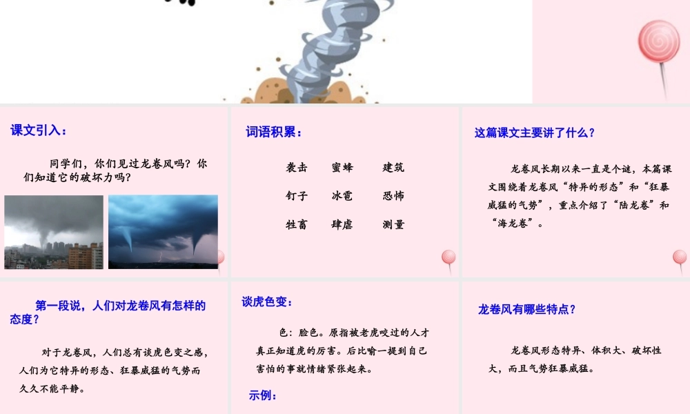 四年级语文上册 第五单元 22《龙卷风》优培课件 冀教版-冀教版小学四年级上册语文课件