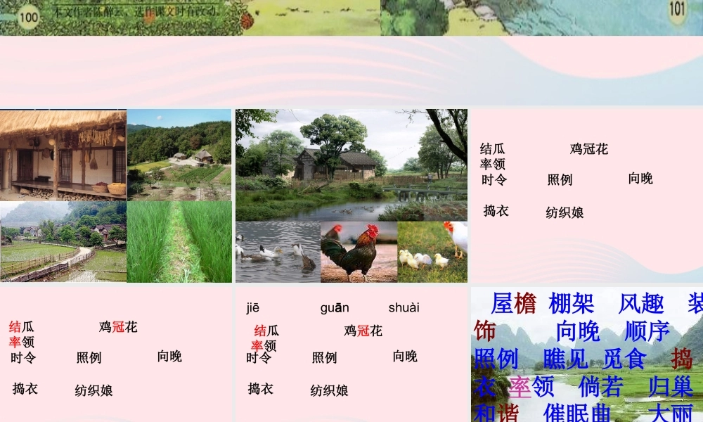 四年级语文下册 第六单元 20《乡下人家》课堂教学课件3 新人教版-新人教版小学四年级下册语文课件