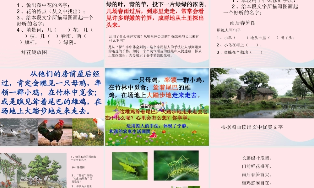 四年级语文下册 第六单元 20《乡下人家》课堂教学课件3 新人教版-新人教版小学四年级下册语文课件