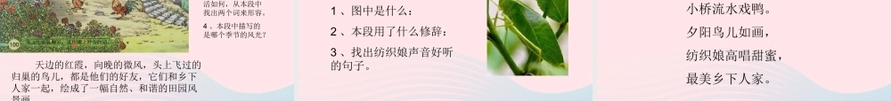 四年级语文下册 第六单元 20《乡下人家》课堂教学课件3 新人教版-新人教版小学四年级下册语文课件