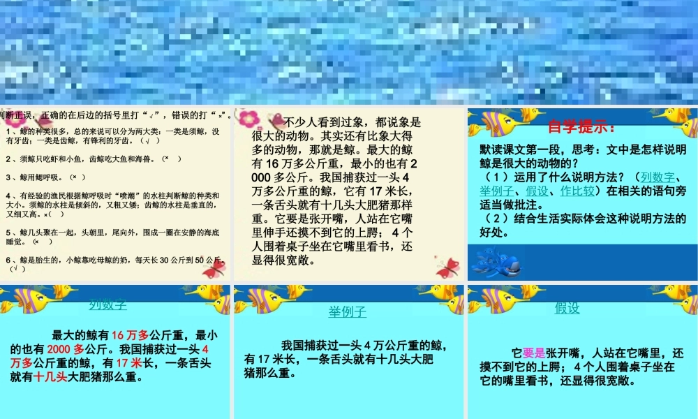 四年级语文下册 第7单元 26《鲸》课件3 语文S版-语文S版小学四年级下册语文课件