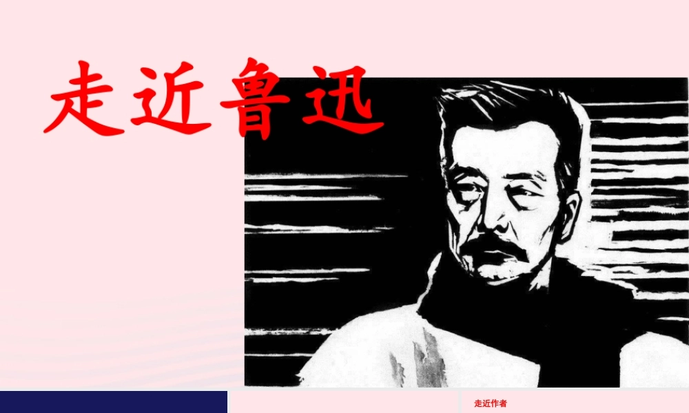 文上册 第八单元 27有的人--纪念鲁迅有感课件