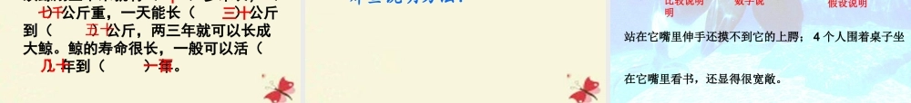 四年级语文下册 第7单元 26《鲸》课件4 语文S版-语文S版小学四年级下册语文课件