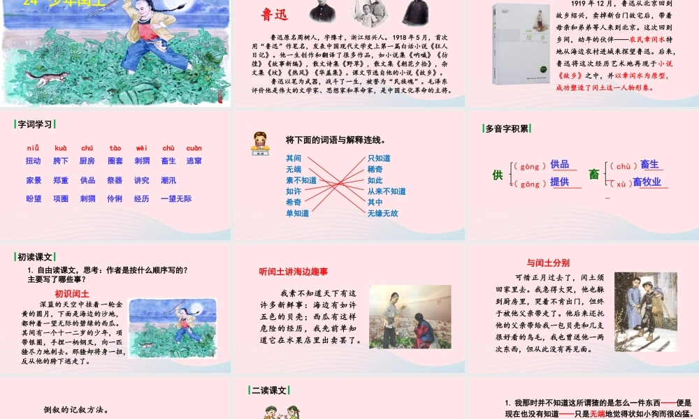 文上册 第八单元闰土课件