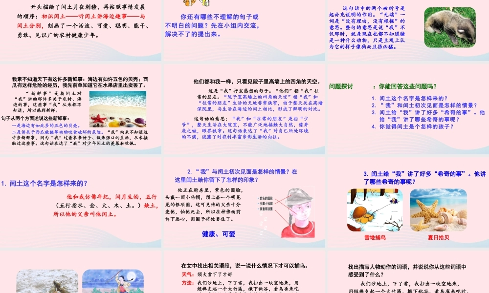 文上册 第八单元闰土课件