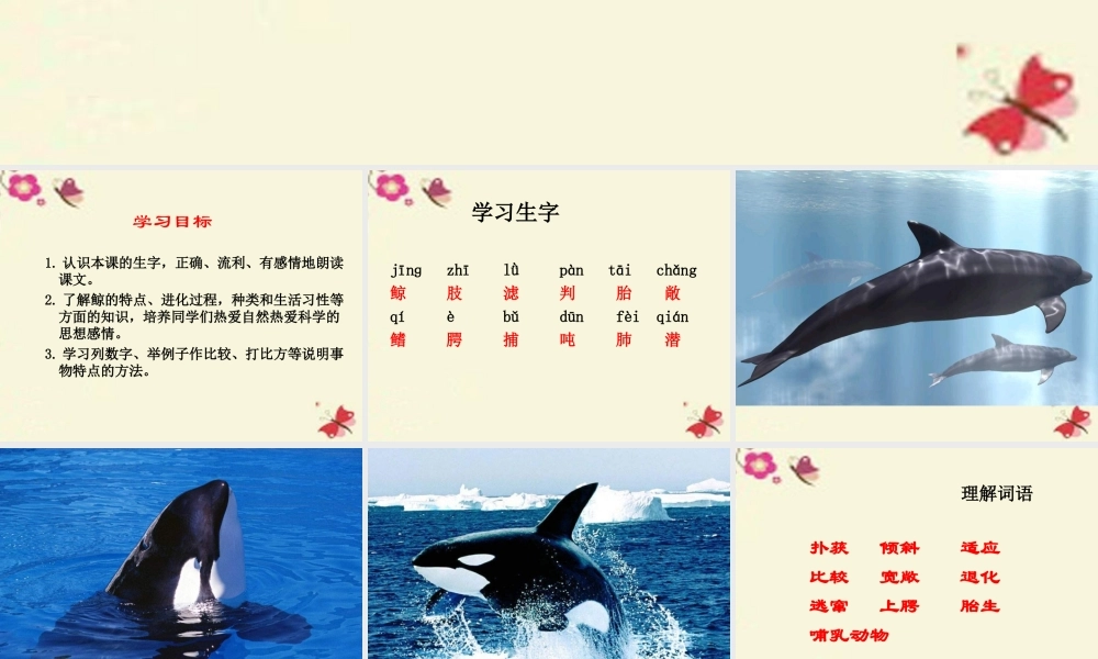 四年级语文下册 第7单元 26《鲸》课件5 语文S版-语文S版小学四年级下册语文课件