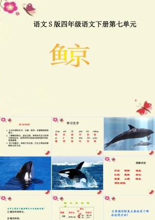四年级语文下册 第7单元 26《鲸》课件5 语文S版-语文S版小学四年级下册语文课件