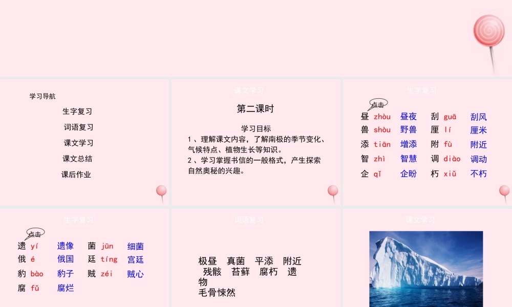 四年级语文上册 第五单元 23《一封从南极寄来的信》（第2课时）优秀课件 冀教版-冀教版小学四年级上册语文课件