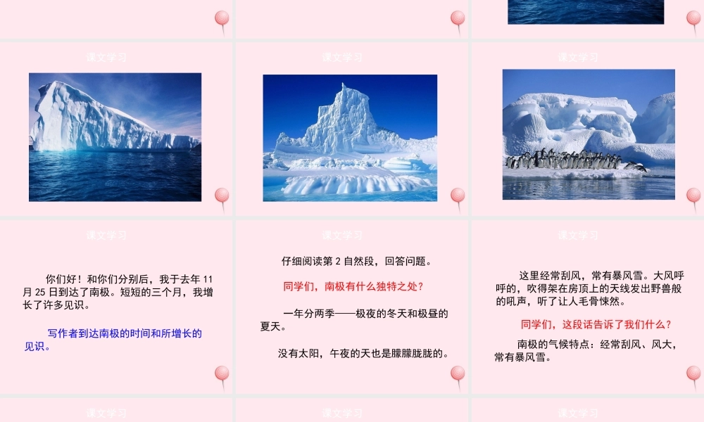 四年级语文上册 第五单元 23《一封从南极寄来的信》（第2课时）优秀课件 冀教版-冀教版小学四年级上册语文课件