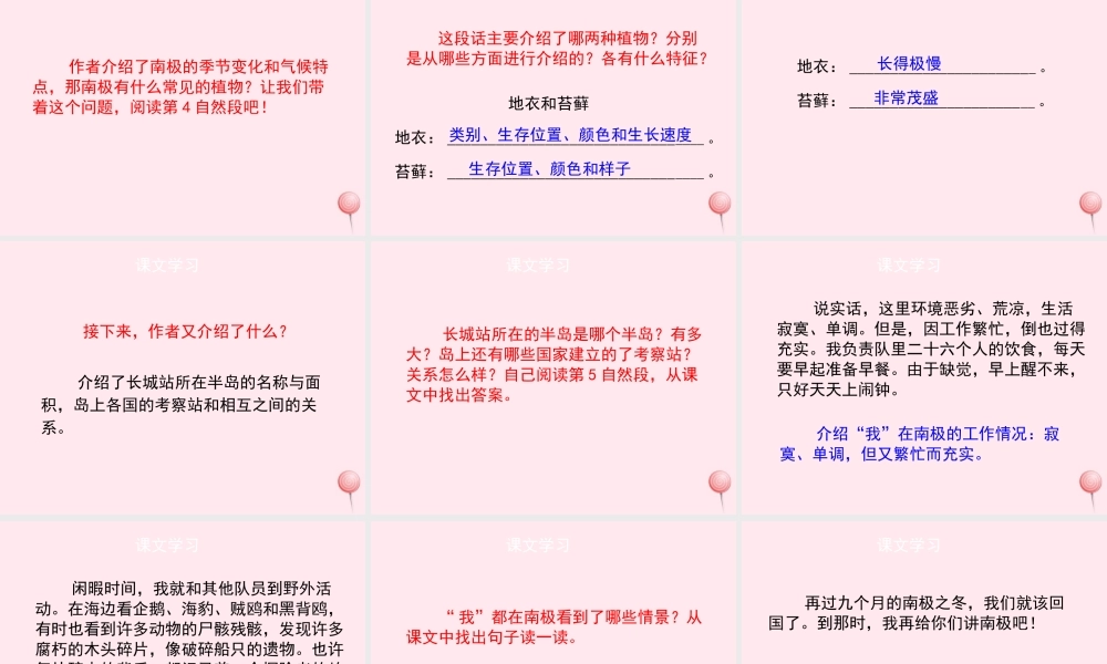 四年级语文上册 第五单元 23《一封从南极寄来的信》（第2课时）优秀课件 冀教版-冀教版小学四年级上册语文课件