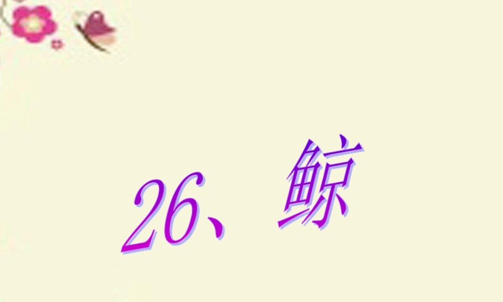 四年级语文下册 第7单元 26《鲸》课件6 语文S版-语文S版小学四年级下册语文课件