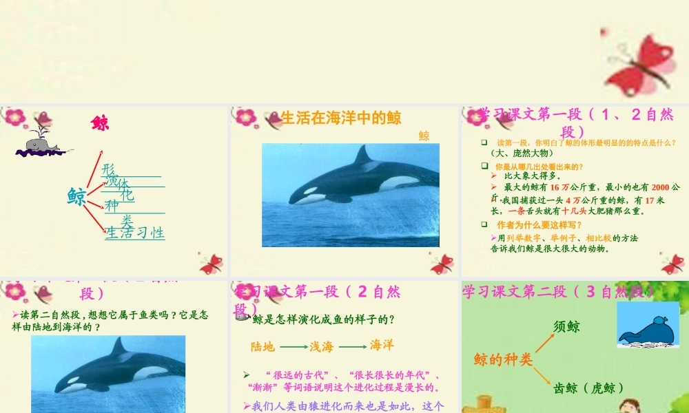 四年级语文下册 第7单元 26《鲸》课件6 语文S版-语文S版小学四年级下册语文课件