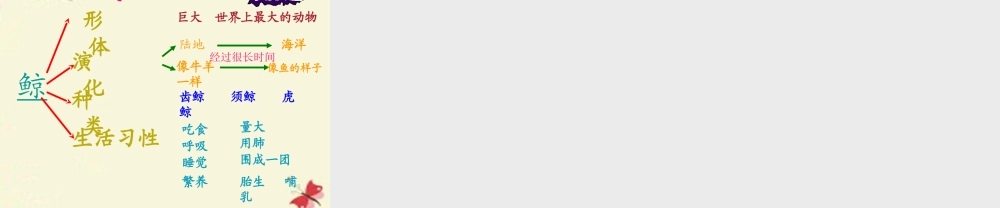 四年级语文下册 第7单元 26《鲸》课件6 语文S版-语文S版小学四年级下册语文课件