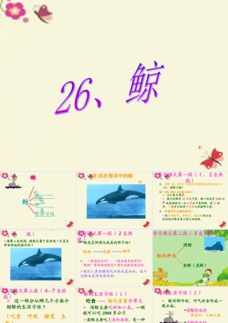 四年级语文下册 第7单元 26《鲸》课件6 语文S版-语文S版小学四年级下册语文课件