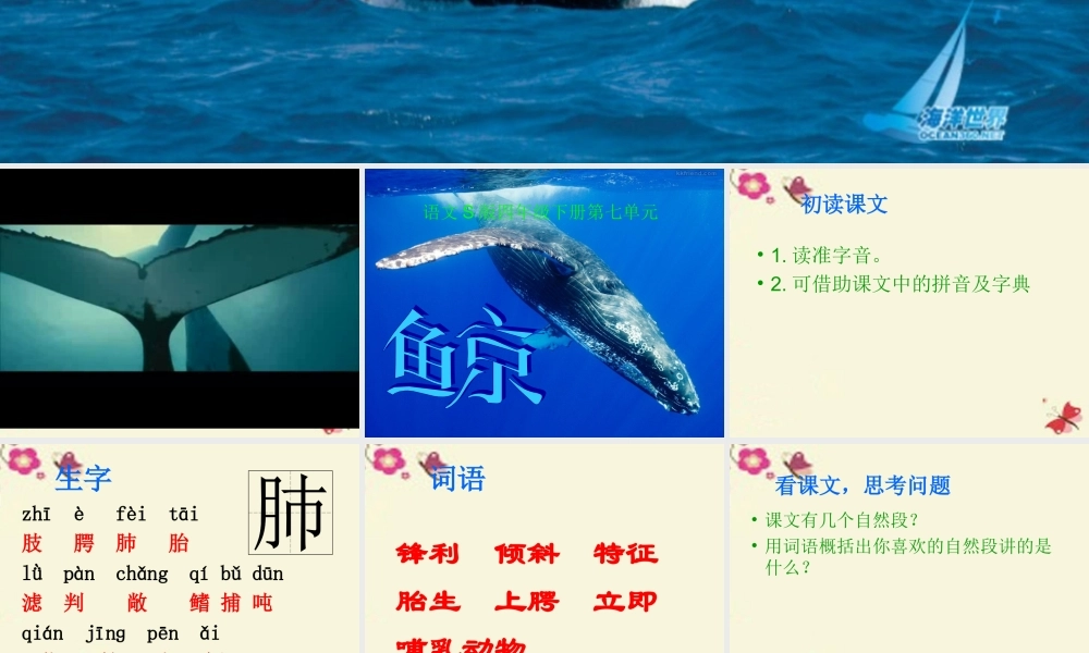 四年级语文下册 第7单元 26《鲸》课件7 语文S版-语文S版小学四年级下册语文课件
