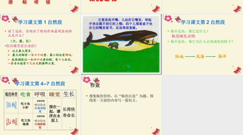 四年级语文下册 第7单元 26《鲸》课件7 语文S版-语文S版小学四年级下册语文课件