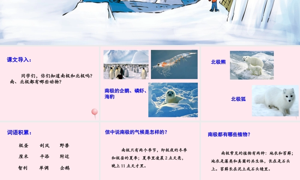 四年级语文上册 第五单元 23《一封从南极寄来的信》优培课件 冀教版-冀教版小学四年级上册语文课件