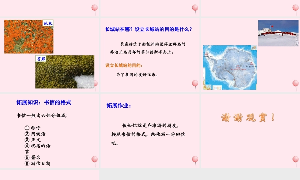 四年级语文上册 第五单元 23《一封从南极寄来的信》优培课件 冀教版-冀教版小学四年级上册语文课件