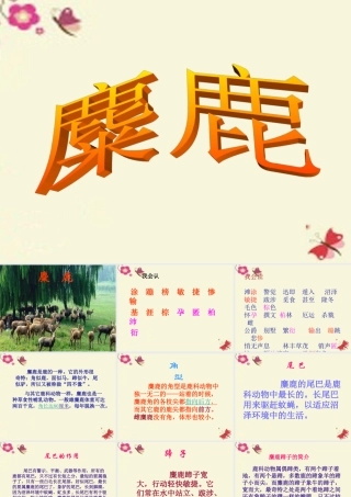 四年级语文下册 第7单元 27《麋鹿》课件1 语文S版-语文S版小学四年级下册语文课件